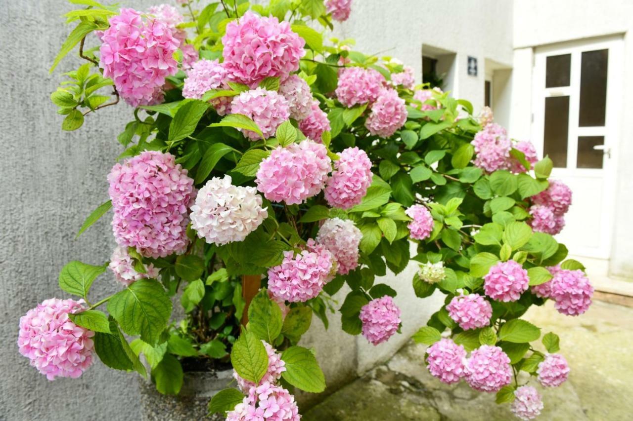 Apartment Cecilija 신 외부 사진